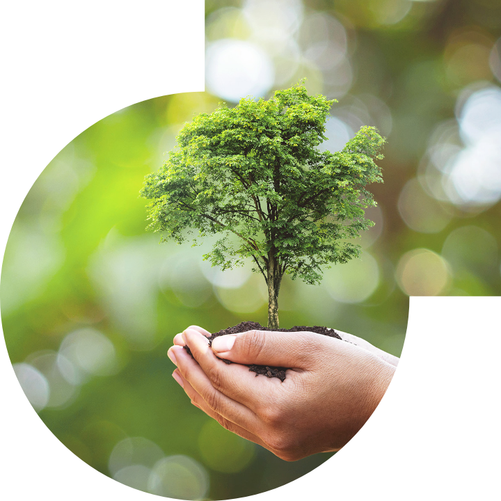 關懷人類、文化、環境與社會